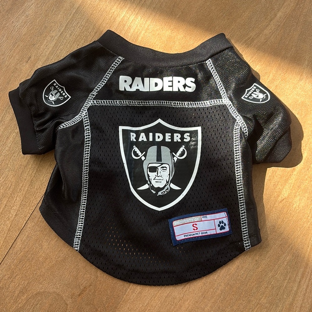 Small dog Raiders jersey